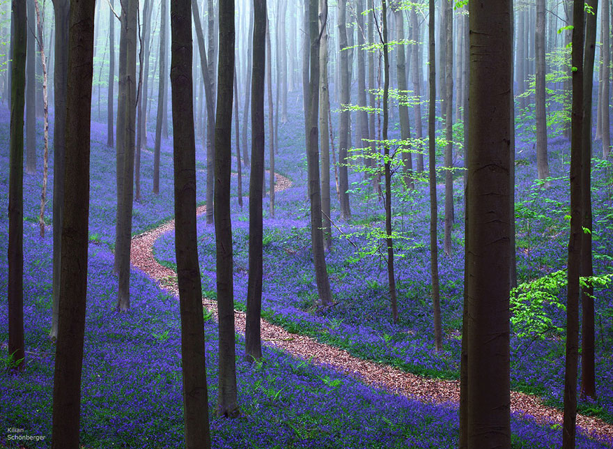 path1